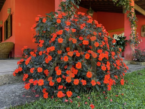 Área Externa - Casa